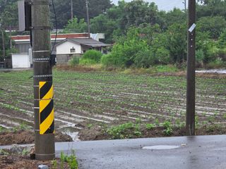 김제서리테님의 기타작물 · 영농일지 작성글 사진