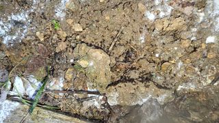 박해용(세건농장)님의 복숭아 · 영농일지 작성글 사진