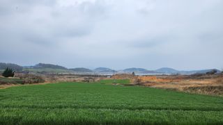 팜블리분매리농윈님의 기타작물 · 영농일지 작성글 사진