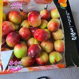 팜모닝 복숭아·영농일지 게시글 이미지