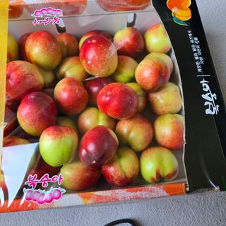 양배추21889님의 복숭아 · 영농일지 작성글 사진