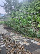 팜모닝 기타작물·영농일지 게시글 이미지