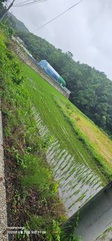 팜모닝 벼·영농일지 게시글 이미지