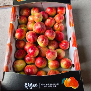 양배추21889님의 복숭아 · 영농일지 작성글 사진