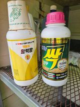 팜모닝 기타작물·영농일지 게시글 이미지