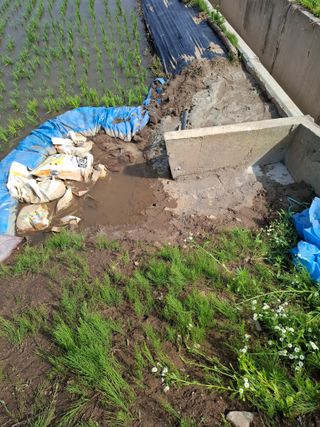 천성을향하여님의 기타작물 · 영농일지 작성글 사진