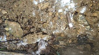 박해용(세건농장)님의 복숭아 · 영농일지 작성글 사진