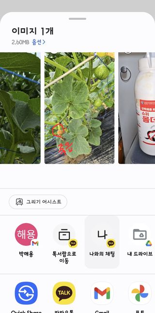 박해용(세건농장)님의 호박 · 영농일지 작성글 사진