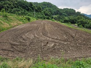 김강호님의 들깨 · 영농일지 작성글 사진