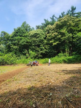 김용민님의 들깨 · 영농일지 작성글 사진