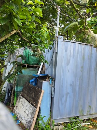 이재영 님의 기타작물 · 영농일지 작성글 사진