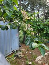 팜모닝 기타작물·영농일지 게시글 이미지