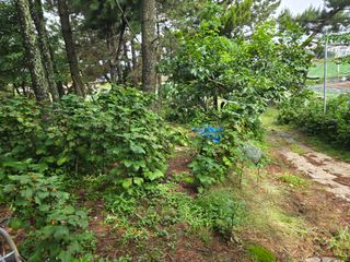 이재영 님의 기타작물 · 영농일지 작성글 사진