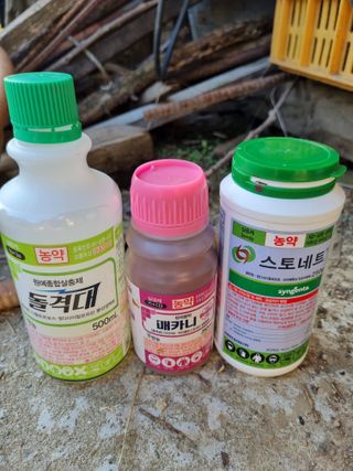 논산푸른팜님의 작성글 사진