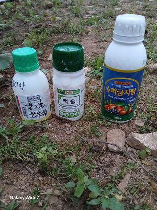 김명자님의 기타작물 · 영농일지 작성글 사진