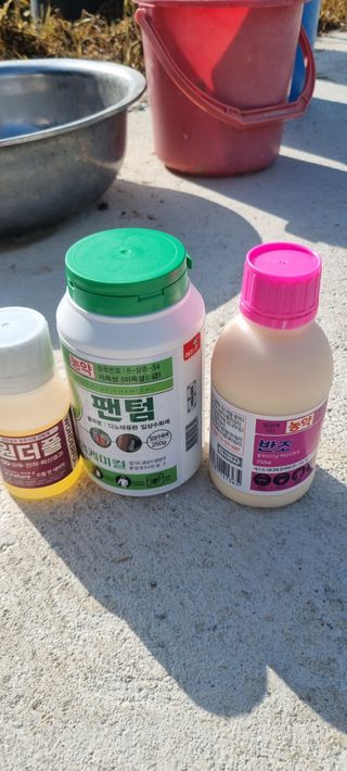 김은희님의 사과 · 영농일지 작성글 사진