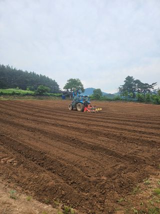 서산촌놈님의 콩 · 영농일지 작성글 사진