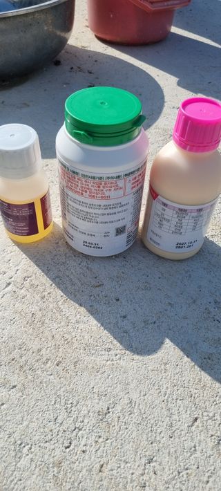 김은희님의 사과 · 영농일지 작성글 사진