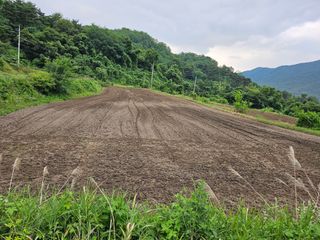 김강호님의 들깨 · 영농일지 작성글 사진
