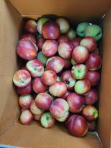 팜모닝 기타작물·영농일지 게시글 이미지