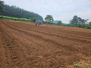 서산촌놈님의 콩 · 영농일지 작성글 사진