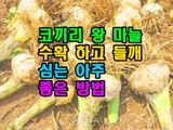 팜모닝 기타작물·영농일지 게시글 이미지