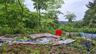 수기님의 두릅 · 영농일지 작성글 사진