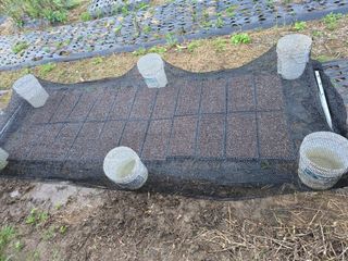 藝園님의 콩 · 영농일지 작성글 사진