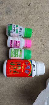 팜모닝 고추·영농일지 게시글 이미지