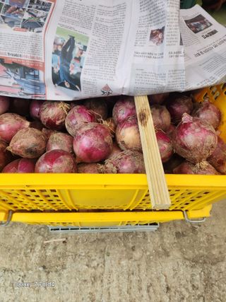 세민님의 기타작물 · 영농일지 작성글 사진