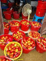 팜모닝 기타작물·영농일지 게시글 이미지