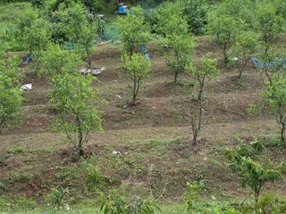 공주유구 구계박만호님의 기타작물 · 영농일지 작성글 사진