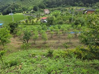 공주유구 구계박만호님의 기타작물 · 영농일지 작성글 사진