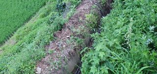 반성식님의 기타작물 · 영농일지 작성글 사진