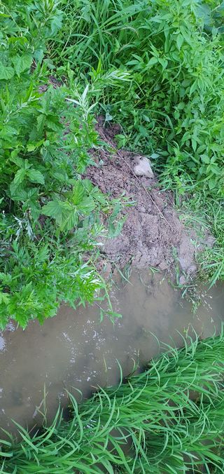 반성식님의 기타작물 · 영농일지 작성글 사진