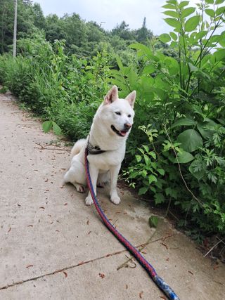 GH장수기호농님의 기타작물 · 영농일지 작성글 사진