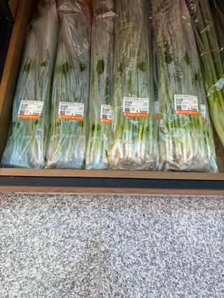 김영완님의 파 · 영농일지 작성글 사진