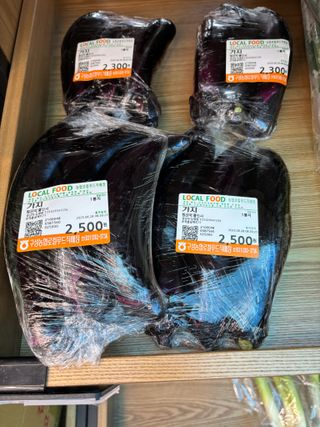 김영완님의 파 · 영농일지 작성글 사진