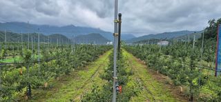 박산하님의 사과 · 영농일지 작성글 사진