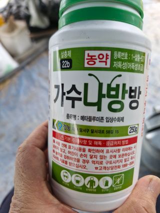 영평골님의 복숭아 · 영농일지 작성글 사진