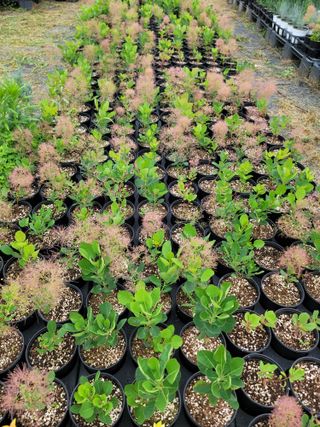 이선미님의 기타작물 · 영농일지 작성글 사진