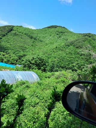 GH장수기호농님의 기타작물 · 영농일지 작성글 사진