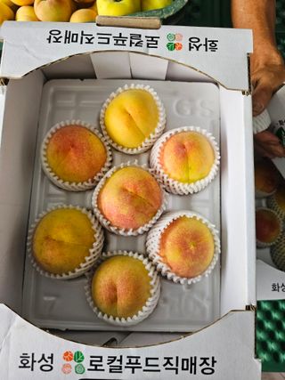 산들농장(화성)님의 기타작물 · 영농일지 작성글 사진