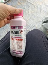 팜모닝 복숭아·영농일지 게시글 이미지