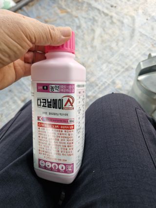 영평골님의 복숭아 · 영농일지 작성글 사진