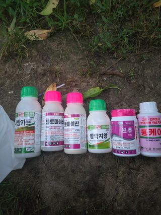 신현오님의 복숭아 · 영농일지 작성글 사진