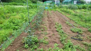 정인재님의 기타작물 · 영농일지 작성글 사진