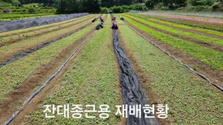 조병대님의 기타작물 · 영농일지 작성글 사진