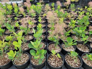 이선미님의 기타작물 · 영농일지 작성글 사진