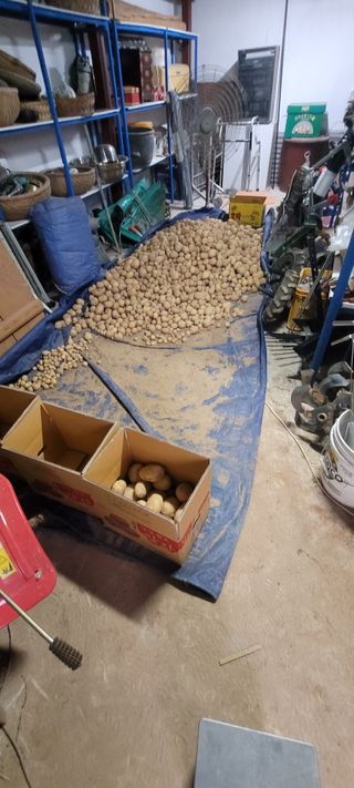 한성님의 감자 · 영농일지 작성글 사진